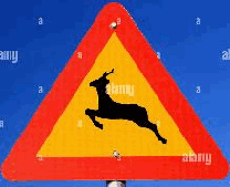 Forest / wildlife reserve traffic sign used in Nepal
